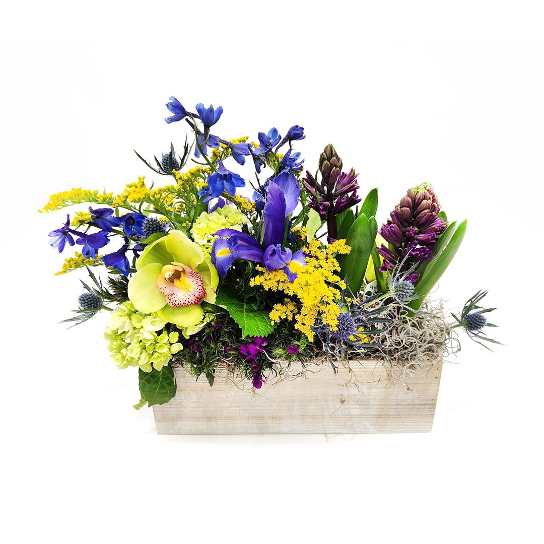 Fleurs De Fenetre