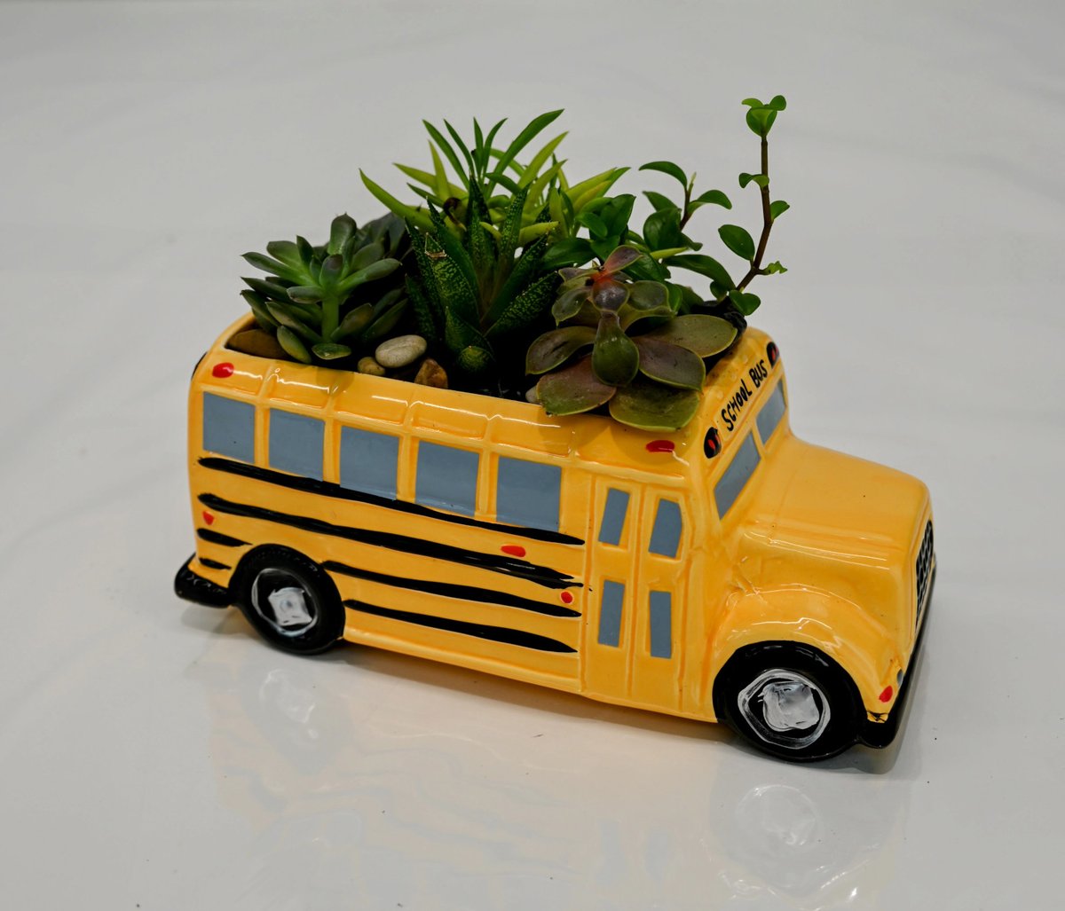 School Bus Succulents