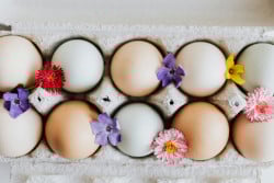Easter Eggs