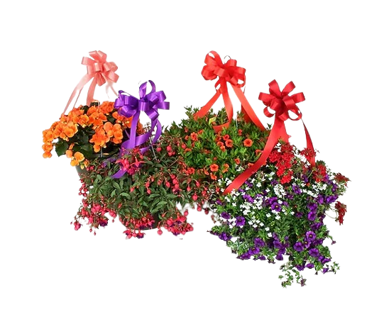 Hanging Baskets